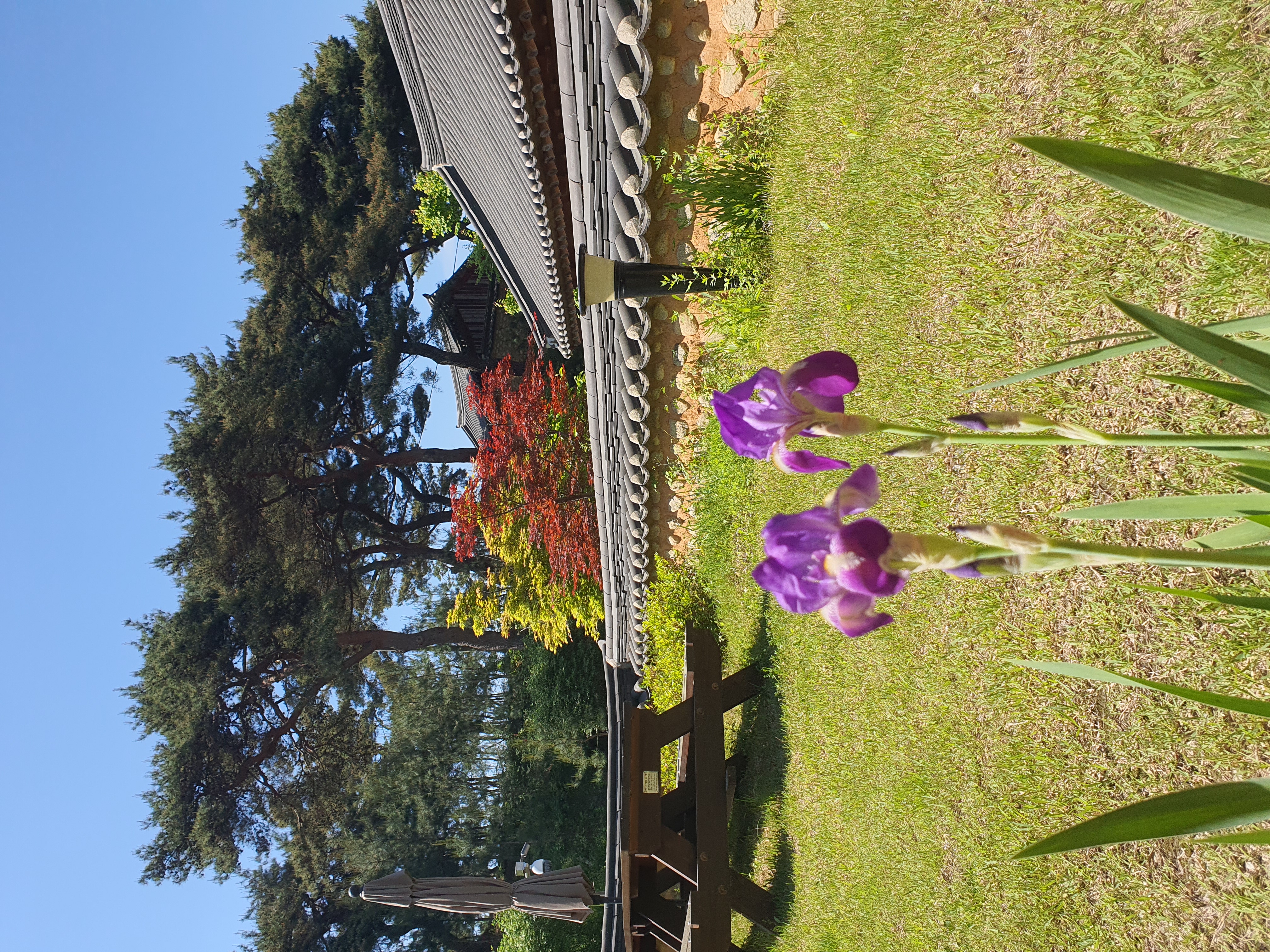 [補助金] ハミャンイルロダンハノクステイ (智異山権 ウェルネスワーケーション)の詳細写真