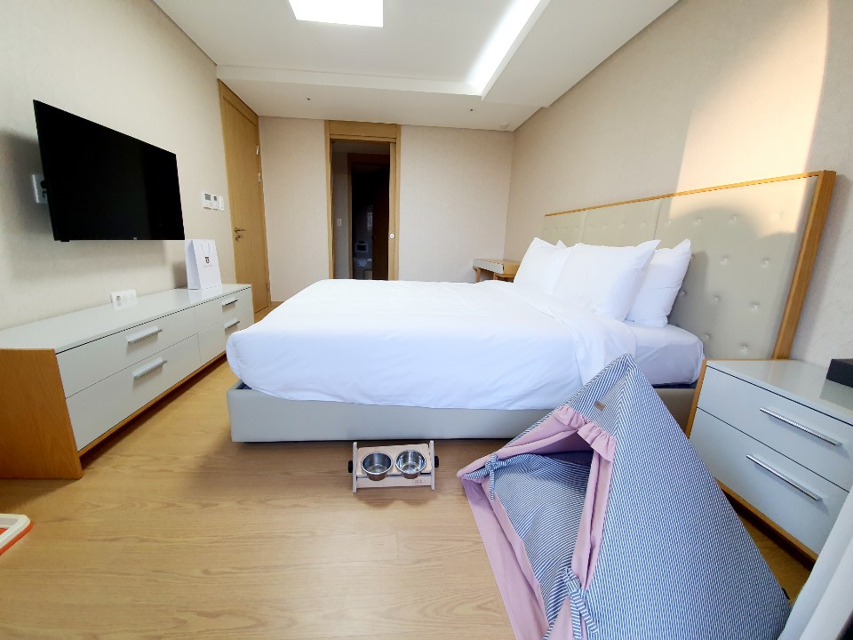 room-card-img-4