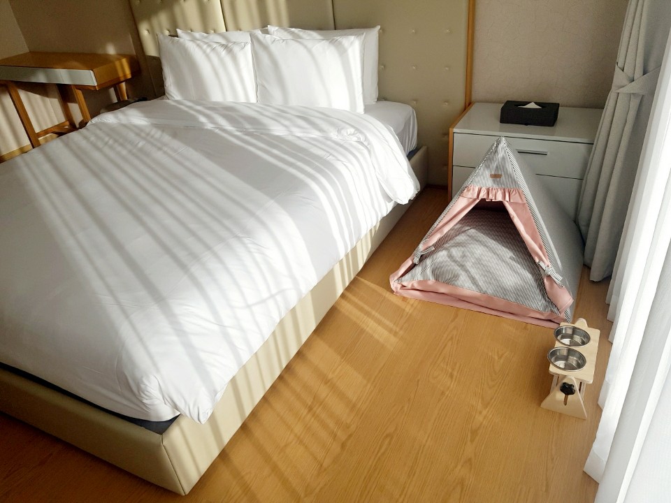 room-card-img-5